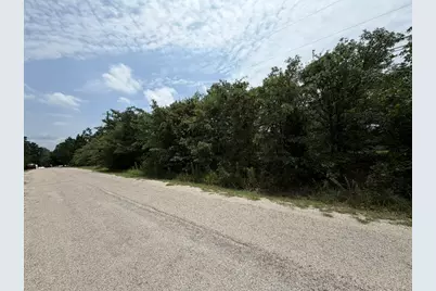 151 S Buckhorn Drive, Bastrop, TX 78602 - Photo 4