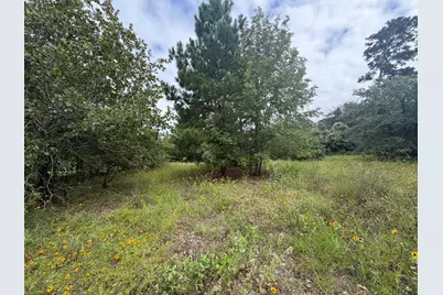 151 S Buckhorn Drive, Bastrop, TX 78602 - Photo 8