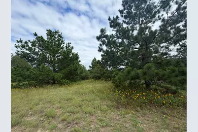 151 S Buckhorn Drive, Bastrop, TX 78602 - Photo 6