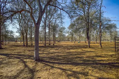 1675 Watterson Road, Red Rock, TX 78662 - Photo 32