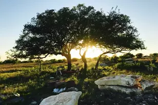 Lot 158 Sierra Dr, Bertram, TX 78605 - Photo 1