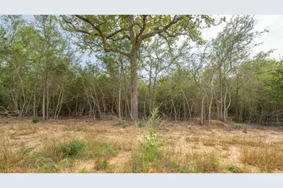 926 Ferguson Loop, Dale, TX 78616 - Photo 6