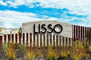 15420 Flowers Vw, Pflugerville, TX 78660 - Photo 36