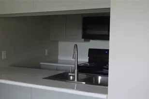 20802 Bonanza St, Lago Vista, TX 78645 - Photo 4