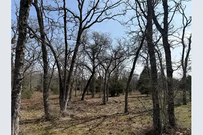 Tbd N County Line Road, Elgin, TX 78621 - Photo 2