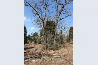 Tbd N County Line Road, Elgin, TX 78621 - Photo 4