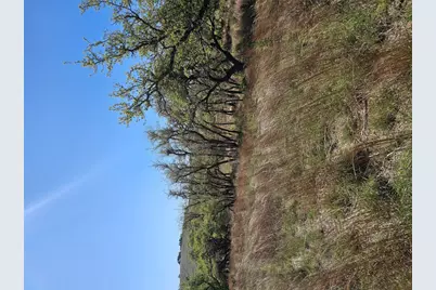 292 N Scenic Hills Court, Blanco, TX 78606 - Photo 14