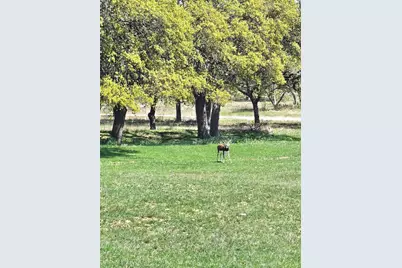 292 N Scenic Hills Court, Blanco, TX 78606 - Photo 26