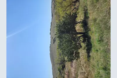 292 N Scenic Hills Court, Blanco, TX 78606 - Photo 12