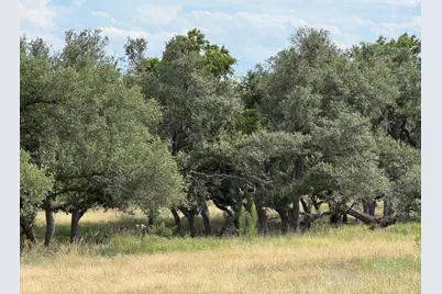 251 Pioneer Trail, Dripping Springs, TX 78620 - Photo 8