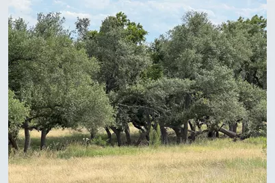 251 Pioneer Trail, Dripping Springs, TX 78620 - Photo 8