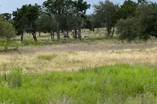 251 Pioneer Trail, Dripping Springs, TX 78620 - Photo 1