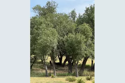 251 Pioneer Trail, Dripping Springs, TX 78620 - Photo 12