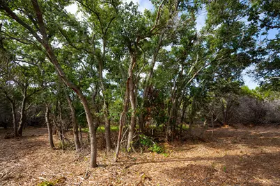 Tbd Gatlin Creek Road, Dripping Springs, TX 78620 - Photo 14