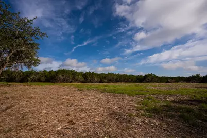 Tbd Gatlin Creek Road, Dripping Springs, TX 78620 - Photo 10