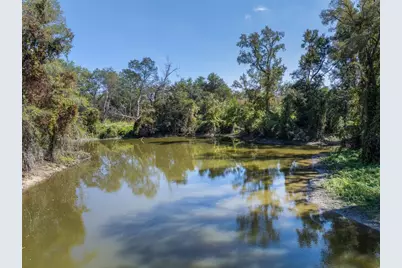 Tbd State Highway 21 E (+/- 69.227 Acres), Midway, TX 75852 - Photo 10