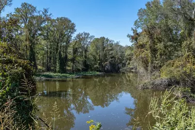 Tbd State Highway 21 E (+/- 69.227 Acres), Midway, TX 75852 - Photo 2