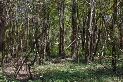 Tbd State Highway 21 E (+/- 69.227 Acres), Midway, TX 75852 - Photo 12