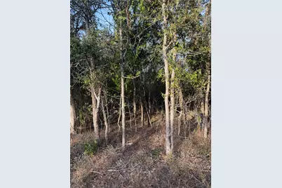 172 Helemano Drive, Bastrop, TX 78602 - Photo 2