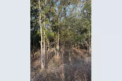 172 Helemano Drive, Bastrop, TX 78602 - Photo 1