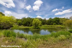 1471 Co Rd A, Lexington, TX 78947 - Photo 10