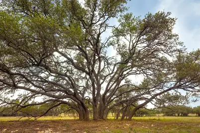 2609 Prochnow Rd, Dripping Springs, TX 78620 - Photo 12