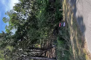 20203 Collier Ln, Lago Vista, TX 78645 - Photo 1