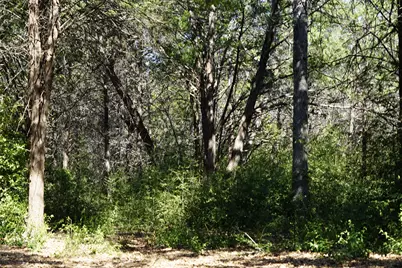 1135 Private Road 7039, Lexington, TX 78947 - Photo 4