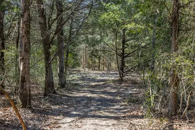 Lot 2 (4.81 Acres) Pauline Lane, Caldwell, TX 77836 - Photo 4