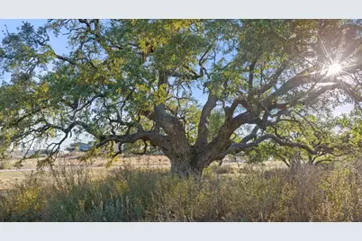 885 Stanton Road, Johnson City, TX 78636 - Photo 4