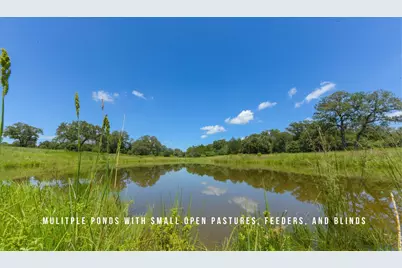 Tbd County Road 405 (+/- 839 Acres), Lexington, TX 78947 - Photo 4