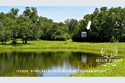 Tbd County Road 405 (+/- 839 Acres), Lexington, TX 78947 - Photo 20