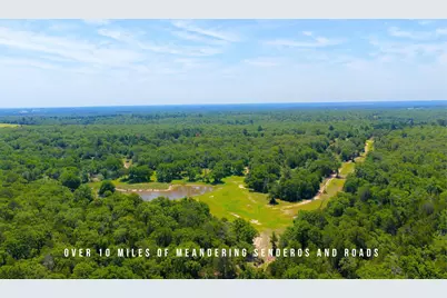 Tbd County Road 405 (+/- 839 Acres), Lexington, TX 78947 - Photo 6