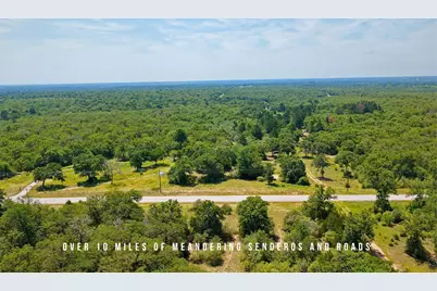 Tbd County Road 405 (+/- 839 Acres), Lexington, TX 78947 - Photo 14
