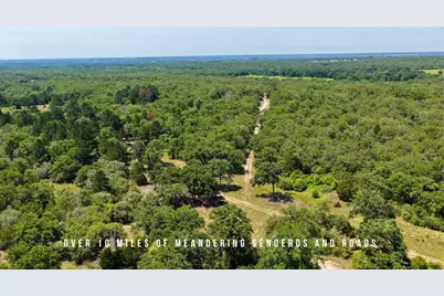 Tbd County Road 405 (+/- 839 Acres), Lexington, TX 78947 - Photo 10