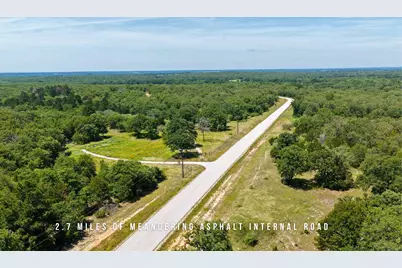 Tbd County Road 405 (+/- 839 Acres), Lexington, TX 78947 - Photo 8
