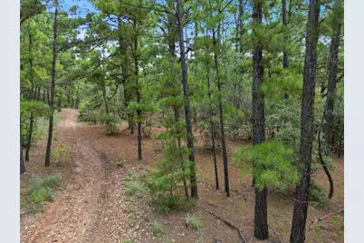 Lot 56 Akala Lane, Bastrop, TX 78602 - Photo 2