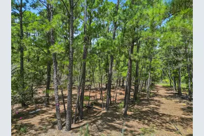 Lot 56 Akala Lane, Bastrop, TX 78602 - Photo 1