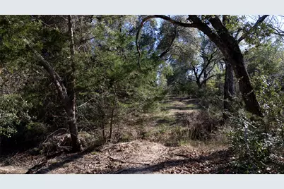 440 Boulton Creek Road, Muldoon, TX 78949 - Photo 20