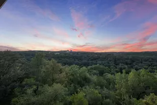 1528 Ben Crenshaw Way, Austin, TX 78746 - Photo 38
