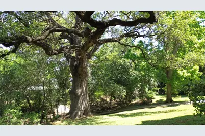 1510 W North Loop Boulevard #412, Austin, TX 78756 - Photo 24