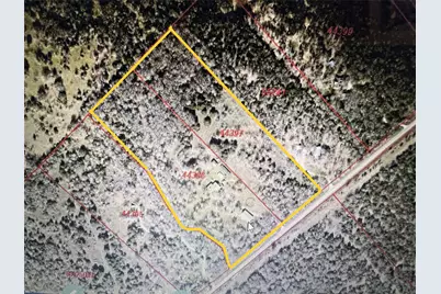 298 Jenkins Road, Cedar Creek, TX 78612 - Photo 40