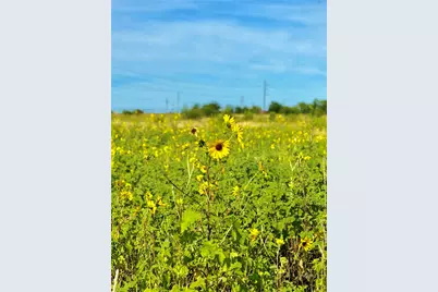 Tbd Tract H County Road 512, Hondo, TX 78850 - Photo 4