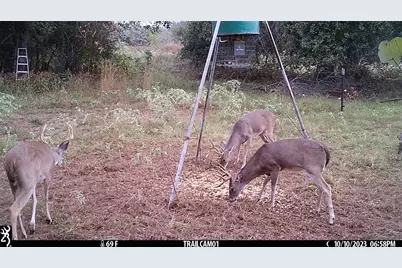 1010 County Road 490, Elgin, TX 78621 - Photo 30