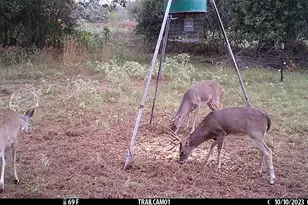 1010 Co Rd 490, Elgin, TX 78621 - Photo 30