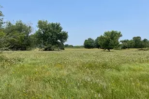 1010 Co Rd 490, Elgin, TX 78621 - Photo 12