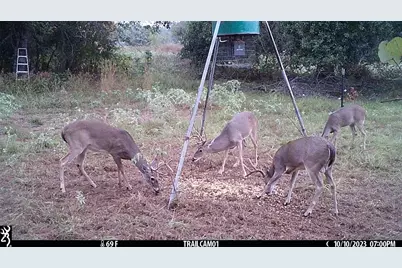 1010 County Road 490, Elgin, TX 78621 - Photo 34