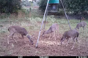 1010 Co Rd 490, Elgin, TX 78621 - Photo 34