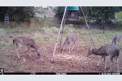 1010 County Road 490, Elgin, TX 78621 - Photo 32