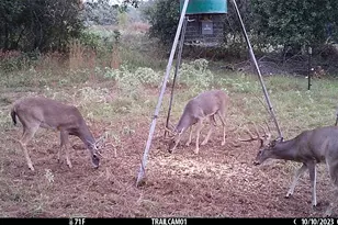 1010 Co Rd 490, Elgin, TX 78621 - Photo 32